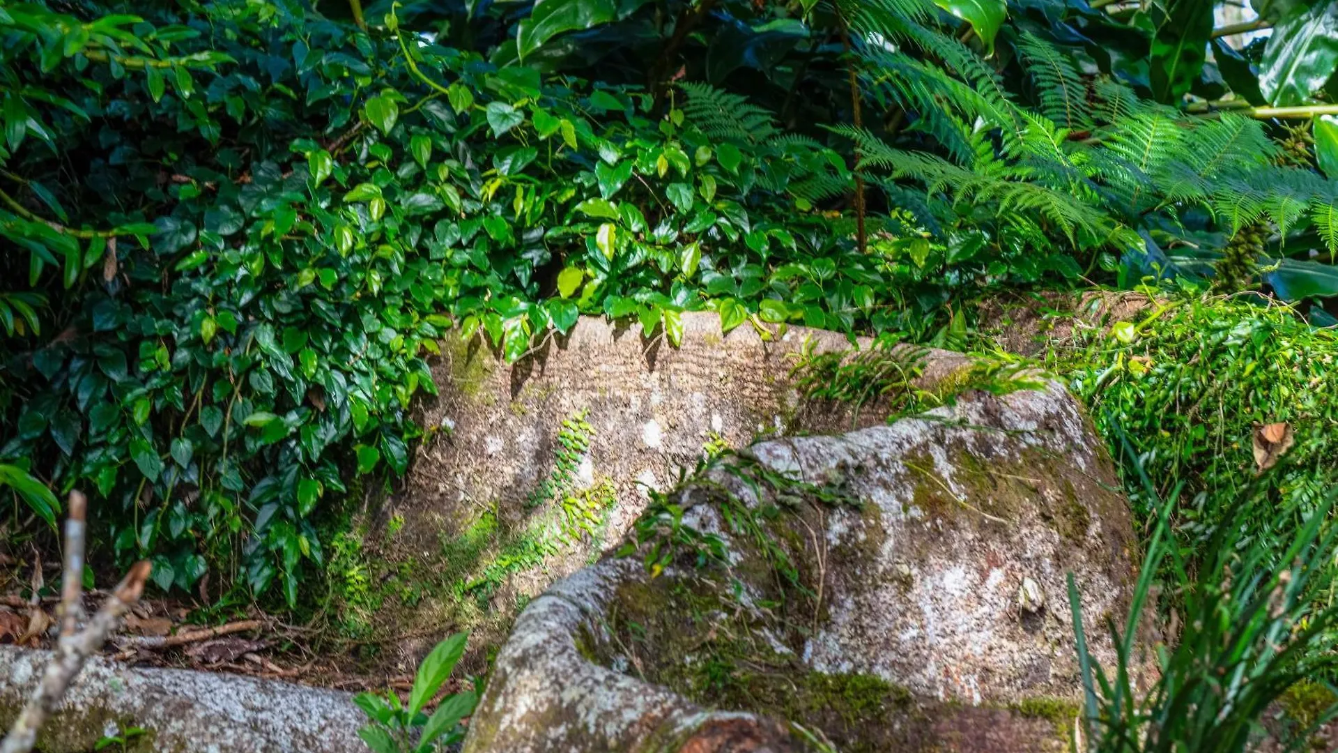 Holiday home Gardners Ridge Estate Villa Maleny