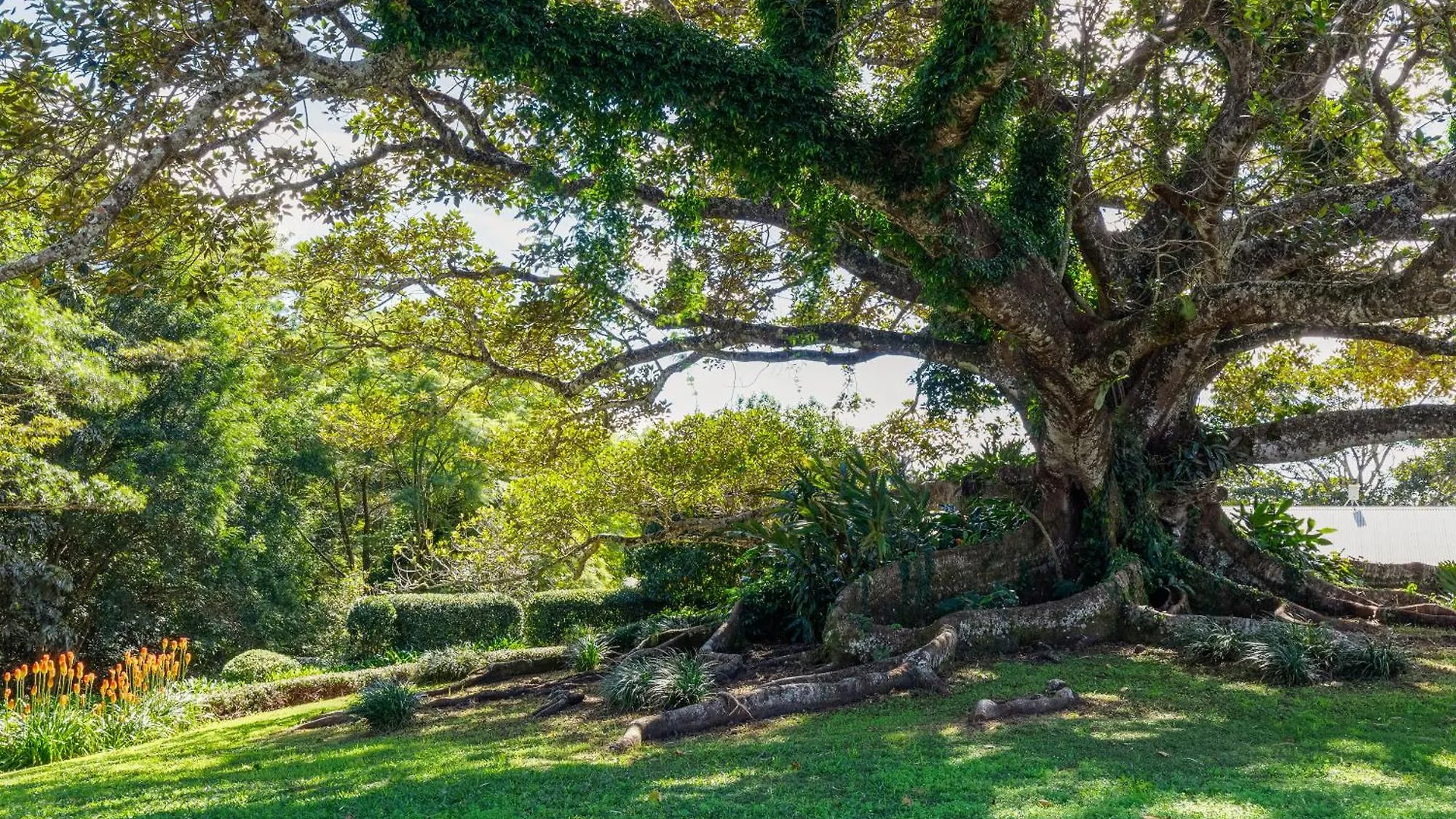 Gardners Ridge Estate Villa Maleny