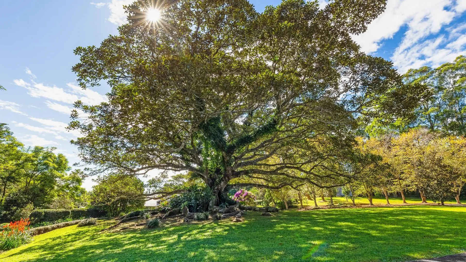 Holiday home Gardners Ridge Estate Villa Maleny Australia