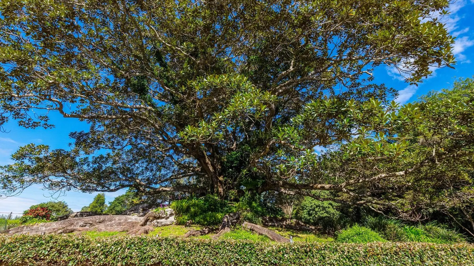 Gardners Ridge Estate Villa Maleny 0*,